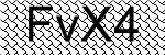 Alternate Text